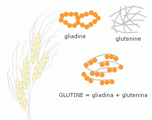 gliadine e glutenine: come si misura il glutine